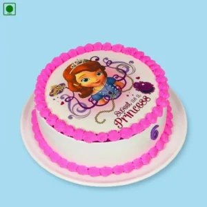 Pink Princess Poster Cake
